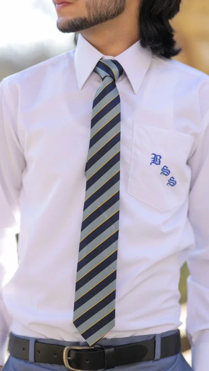 BSS TIE BLUE & GRAY