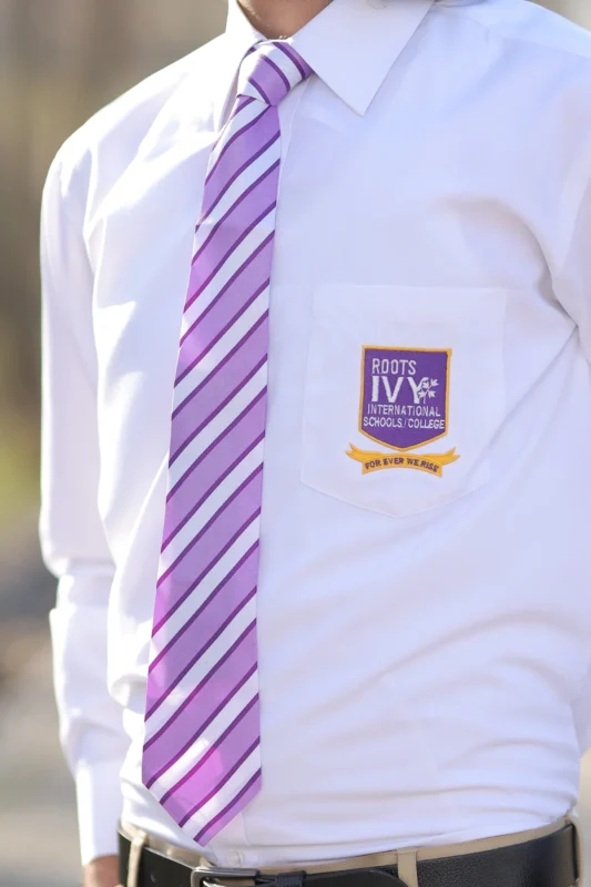 TIE PURPLE STRIPES ROOTS IVY